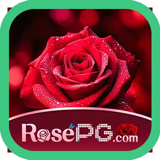 Usuário acessando plataforma segura da RosePG